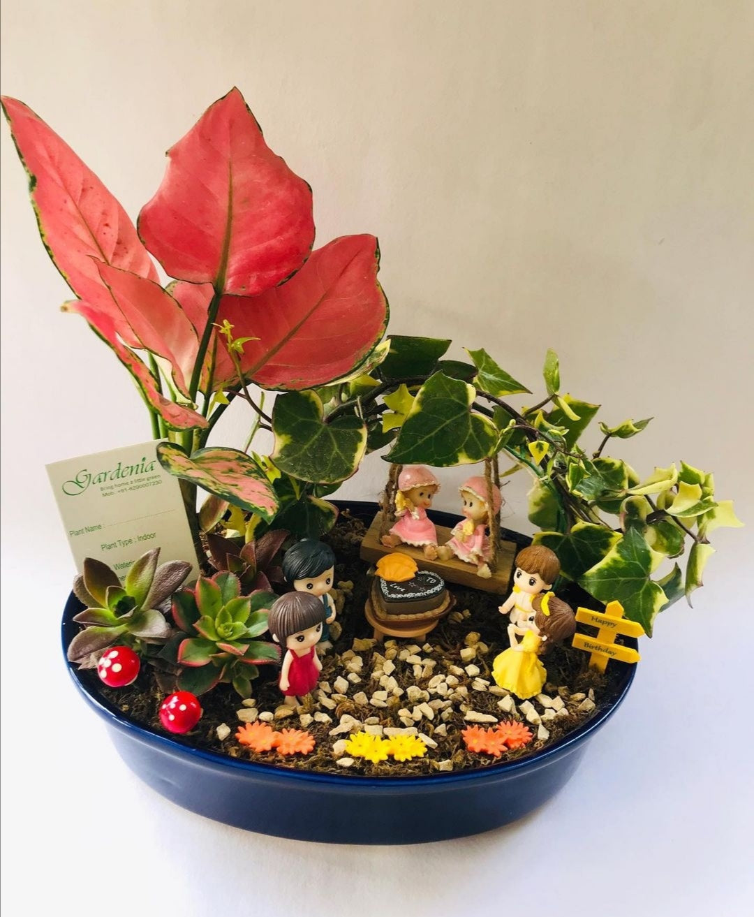 baby twins, birthday, sisters, aglaonema lipstick, succulents, english ivy, twining twins, sisters come first, birthday twincess