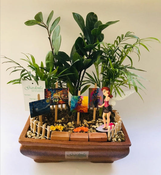 Qala, art gallery, zamia, bamboo, palm