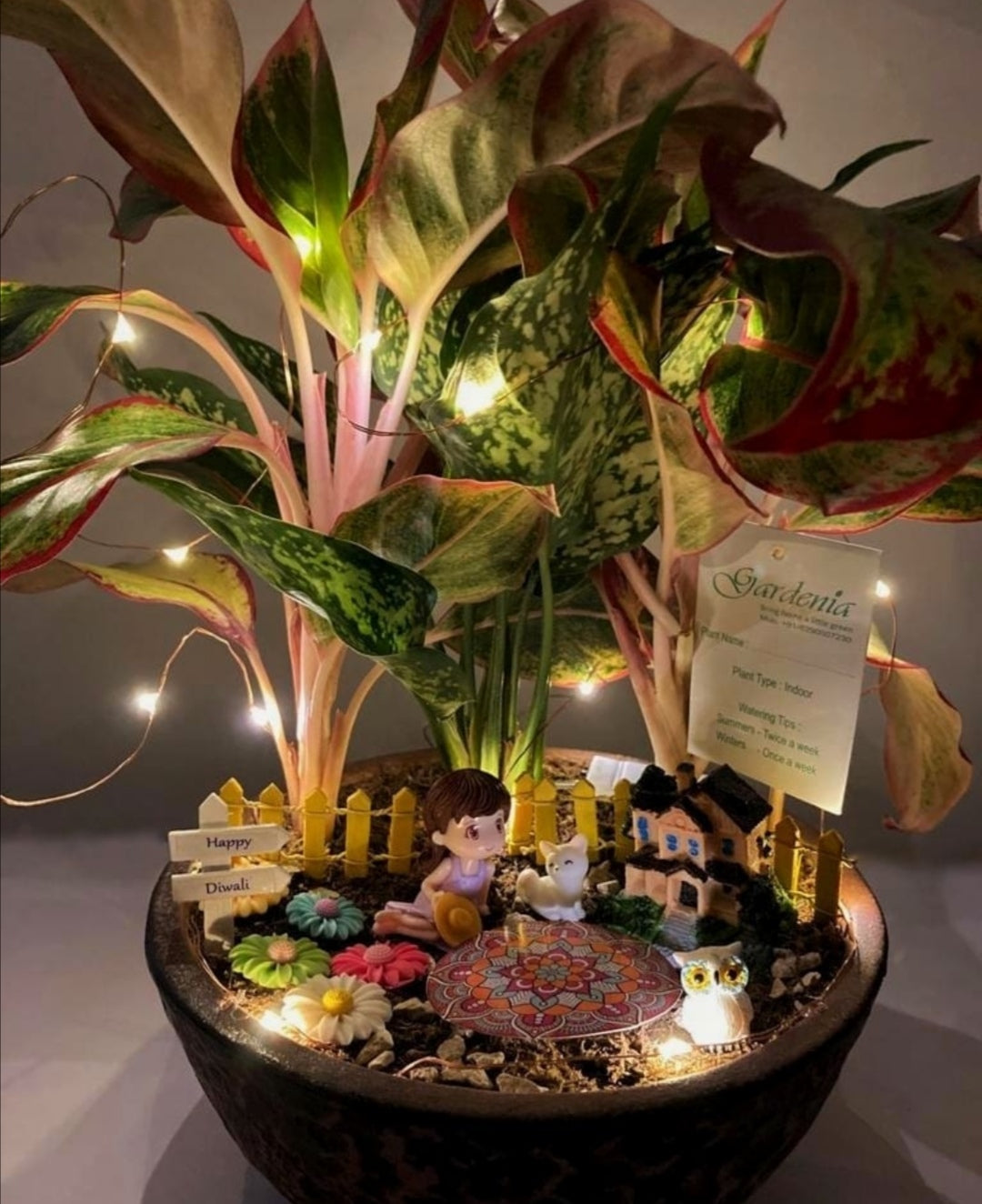 Green Diwali
