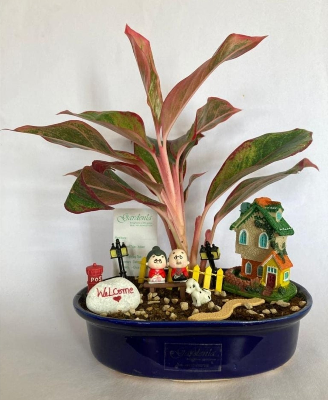 house, warming, sweet, home, elderly couple, old age
