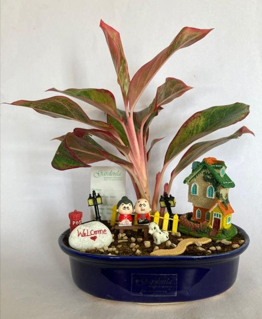 house, warming, sweet, home, elderly couple, old age