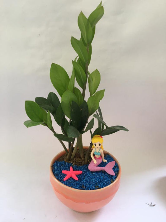 Mermaid's Birthday