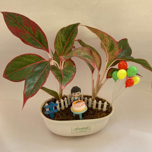 birthday boy, birthday girl, birthday celebration, cake, birthday party, kid's birthday, birthday gift ideas, gift options