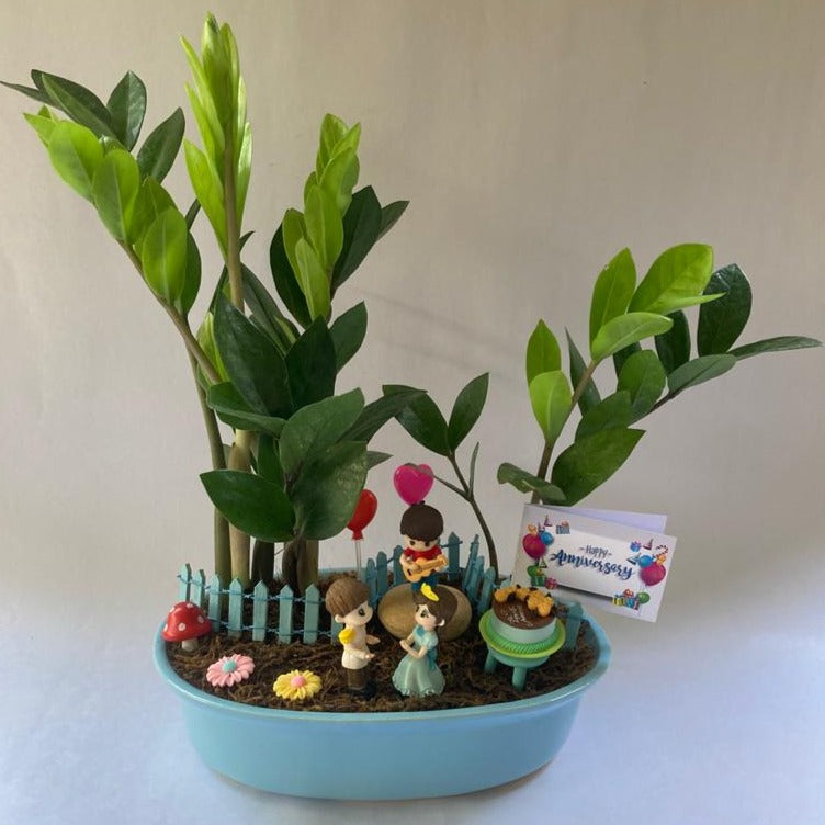anniversary, party, zamia, saalgirah, celebration, rememberance, ceremony, festival