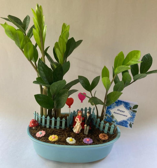 anniversary, party, zamia, saalgirah, celebration, rememberance, ceremony, festival