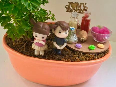 Rakhi + Arelia Plant + Coconut Seed