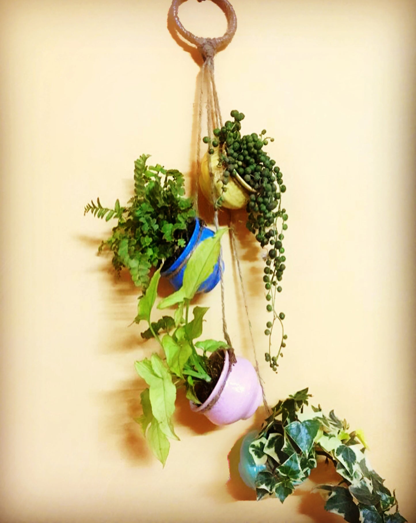 Hanging Planter