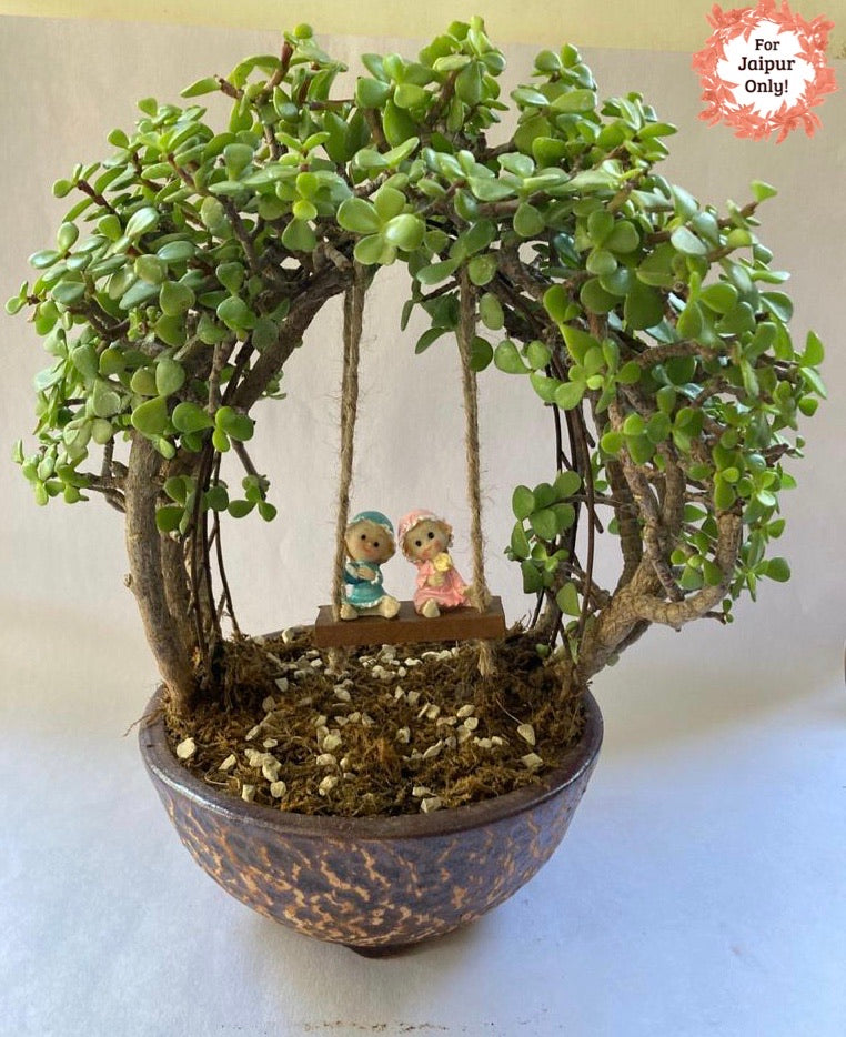 jade, arch, topiary, swing, A land of my dreams