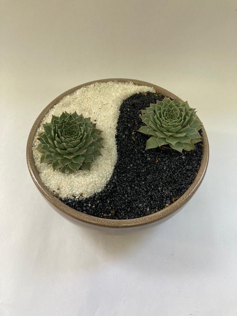 Yin and Yang