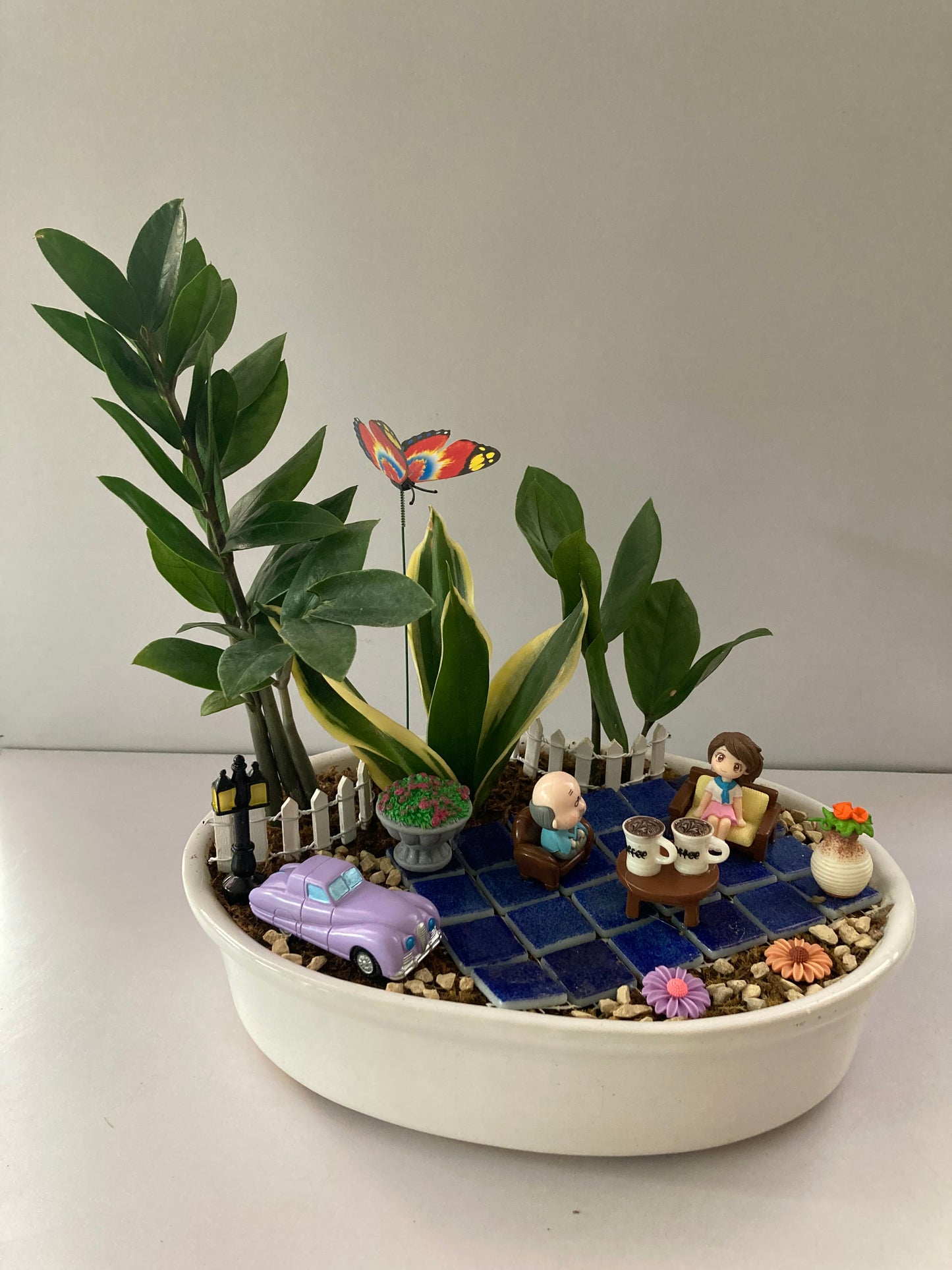 coffee, car, zamia, grandfather, tiles, flower, sansevieria, tiles, gamla, dadaji