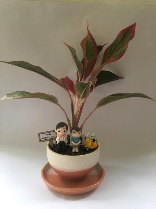 papa, dad, daddy, pitah, love, care, protection, day, aglaonema