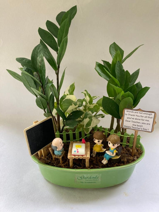 teacher's day, zamia, english ivy, classroom, books, students