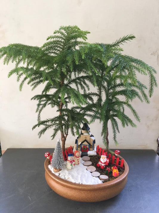 christmas, tree, celebration, decoration, santa claus, gifts, stars, snowman