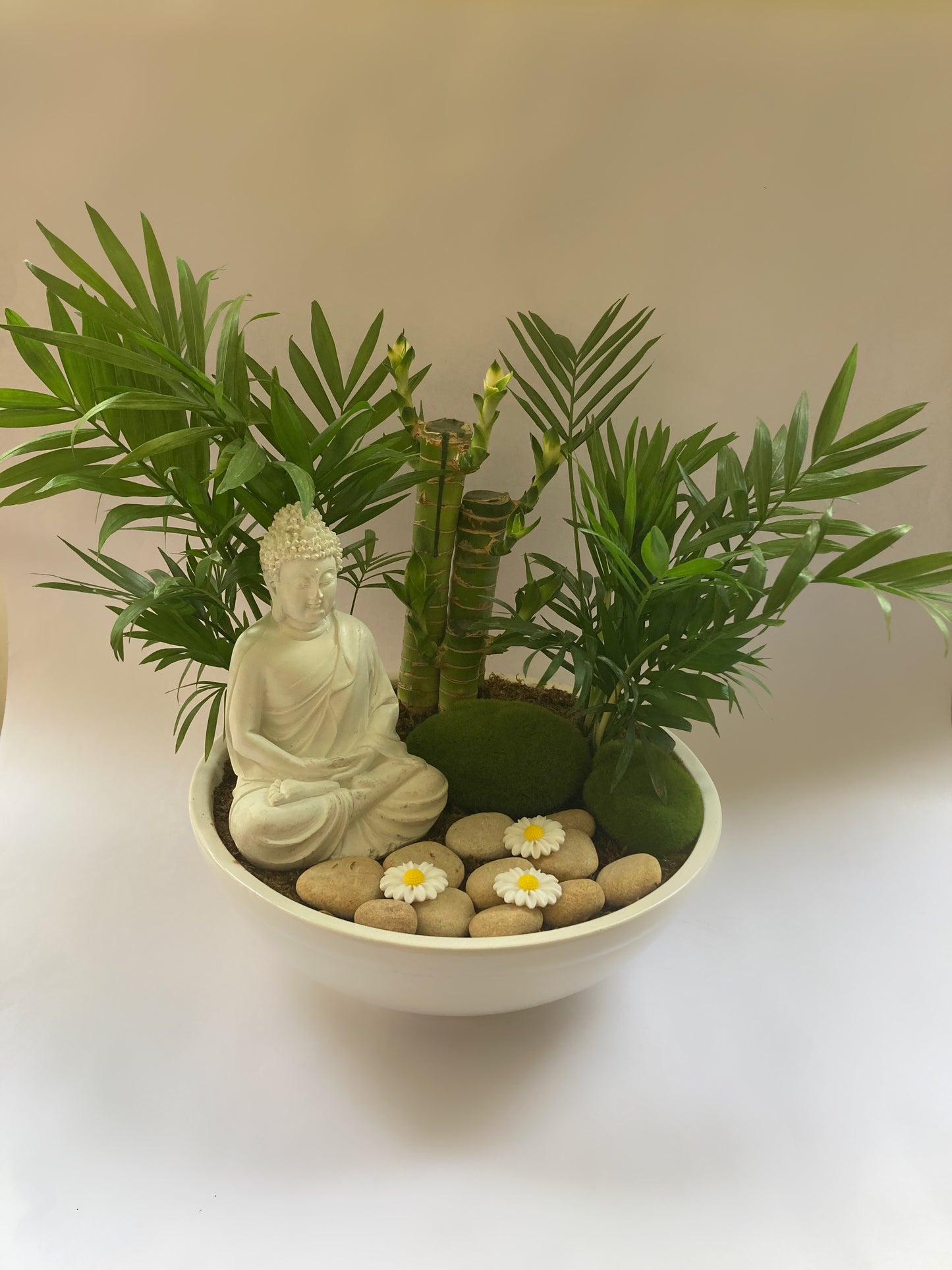 Meditation Buddha