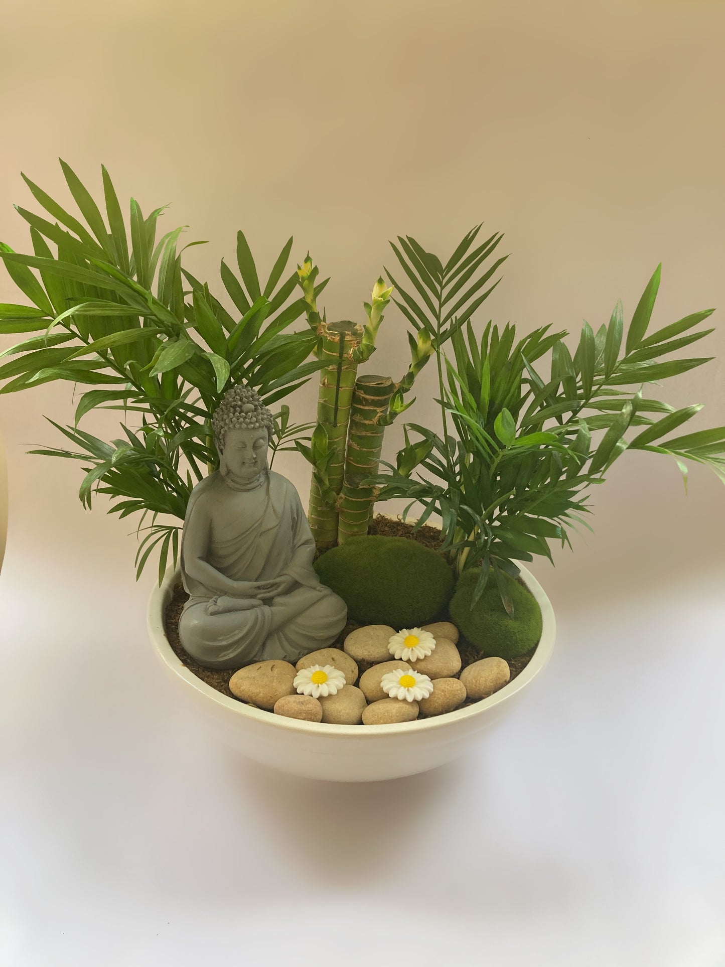 Meditation Buddha