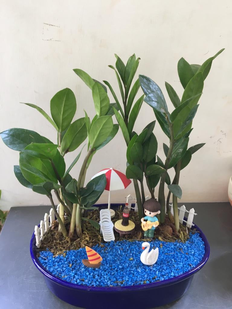 lake, water, music, zamia, beach, coke, fairy tray garden, relaxing mood, guitar, chill scenes, celebration gift,  gift idea