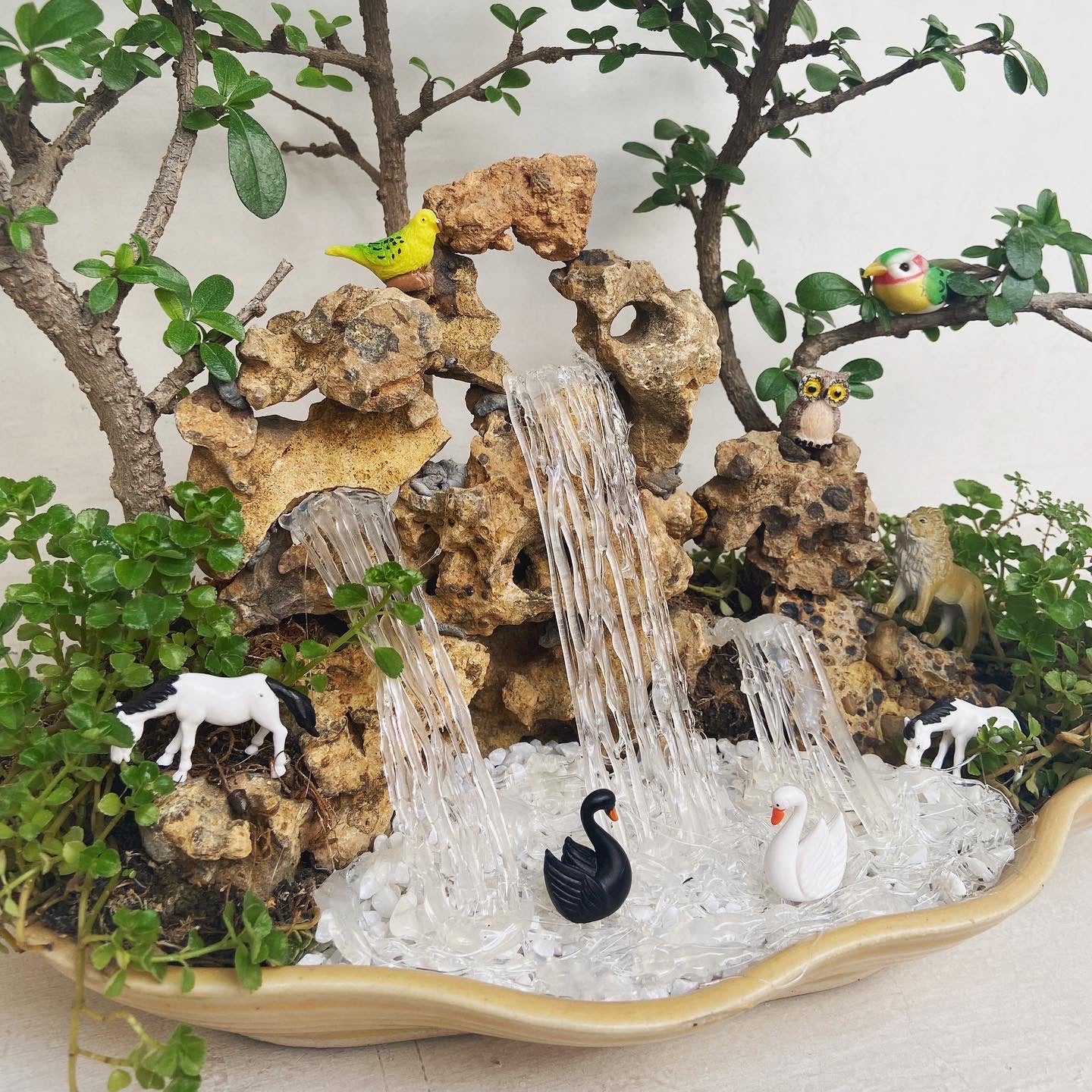 The Art Of Bonsai