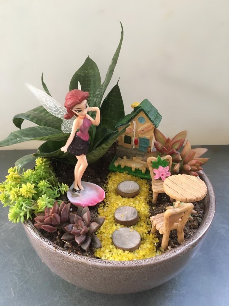 fairy, succulent, garden, snake plant, fairy dust