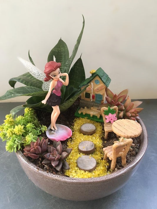 fairy, succulent, garden, snake plant, fairy dust