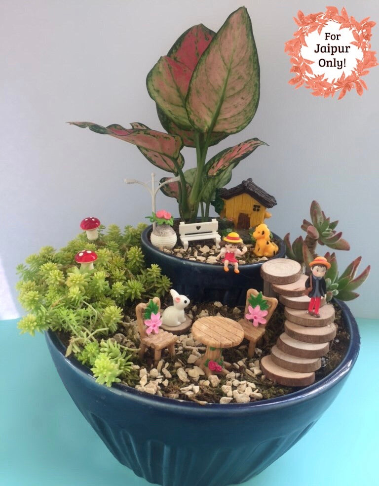 succulent, aglaonema, girl, father, house, rabbit, dog