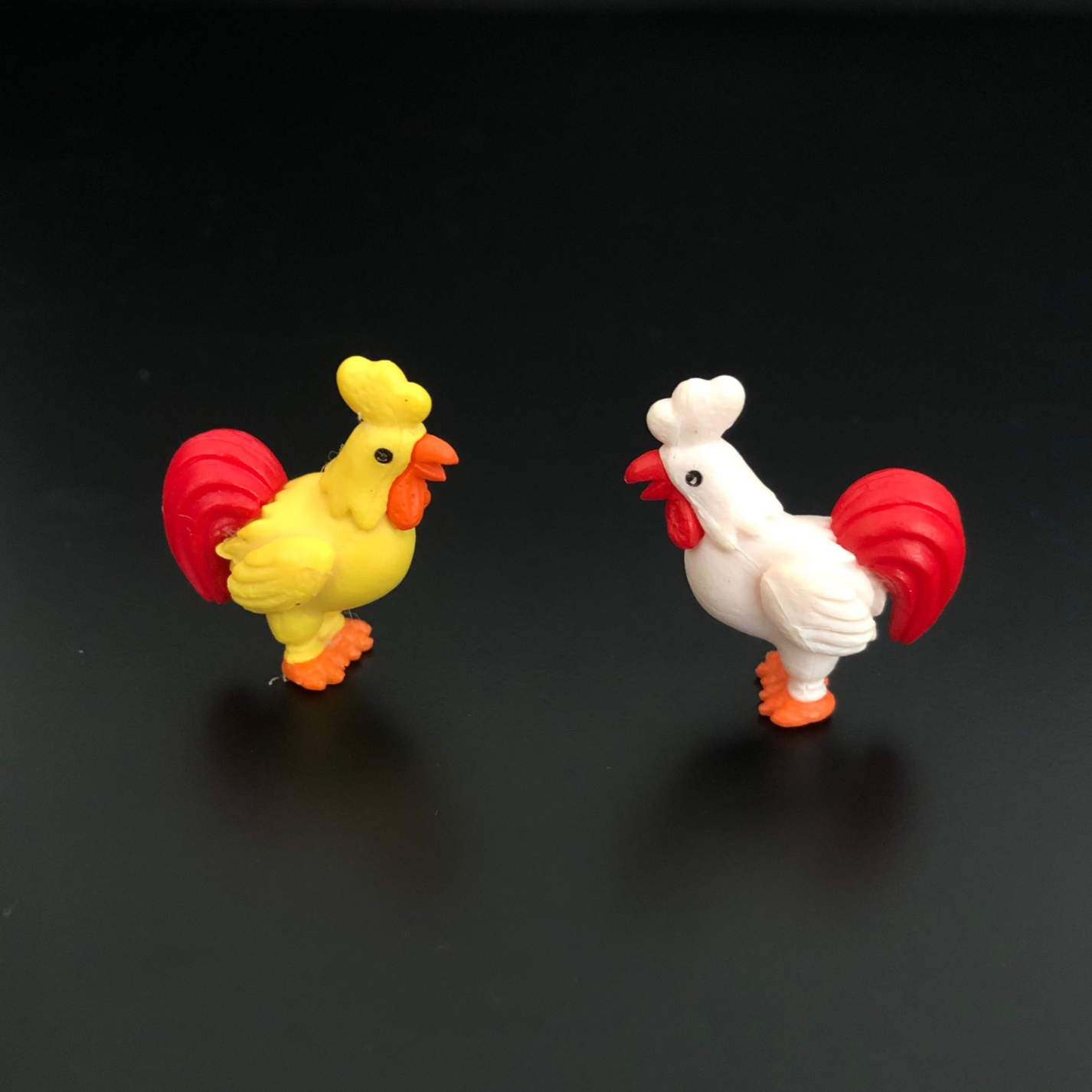 murga, rooster, chicken