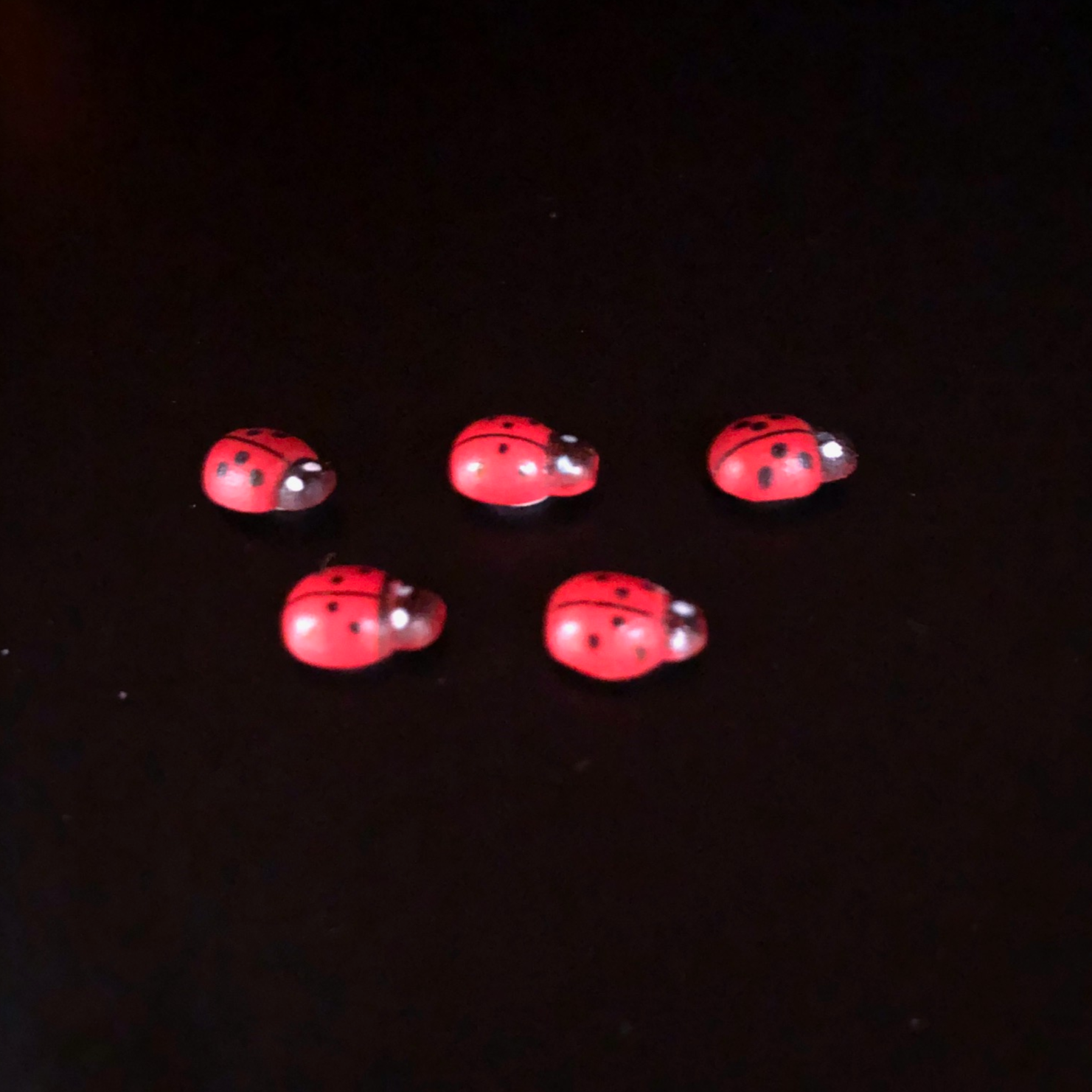 red, bug, ladybug, nut bug, miniature bug