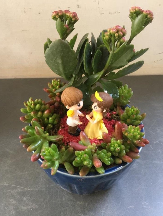 wedding, couple, succulent, kalanchoe