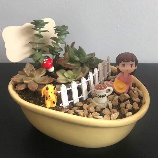 lady, garden, succulents, dog, coffee