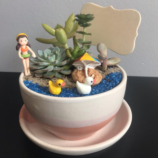 girl, beach, colorful, succulents