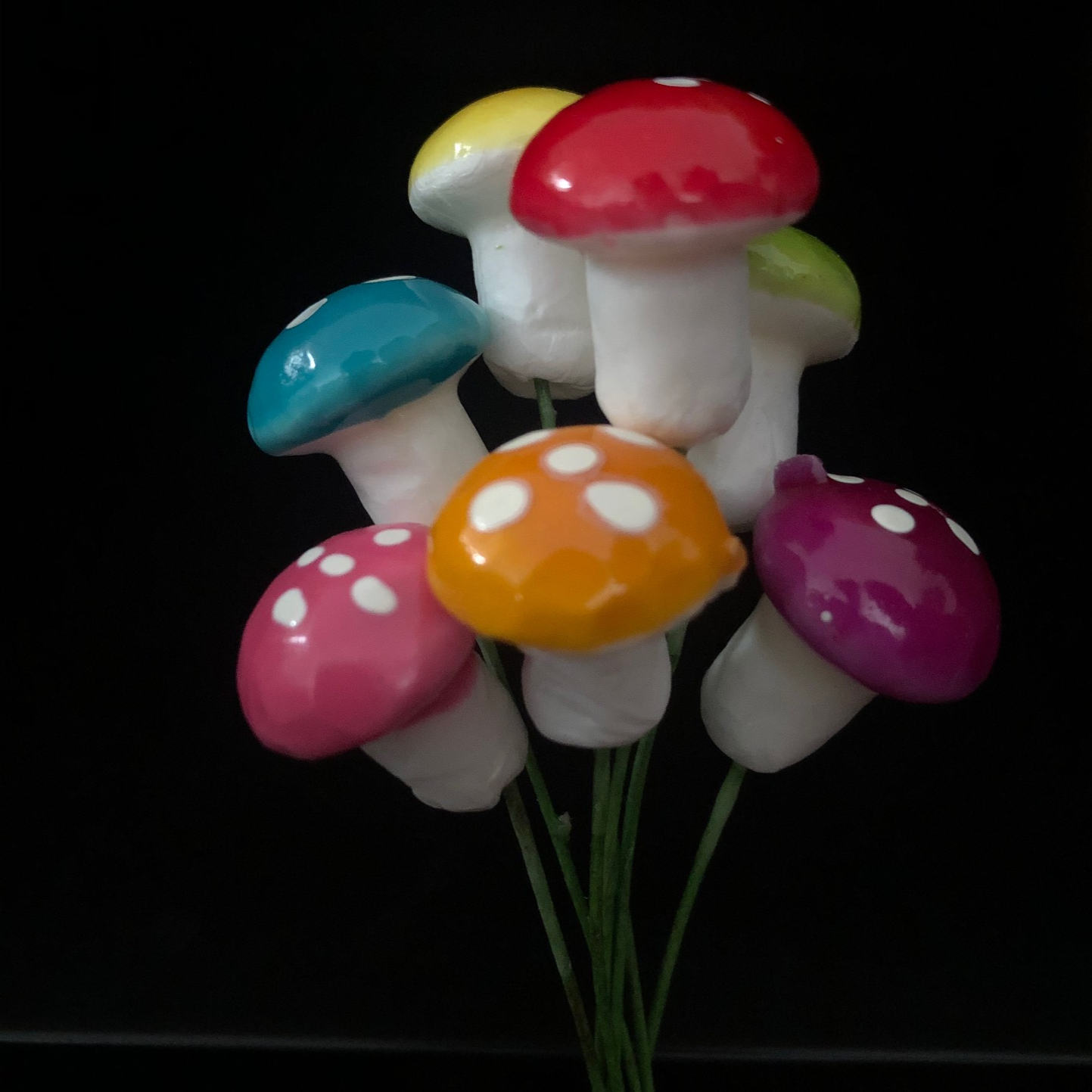 mushroom, individual, red, yellow, green, pink, blue, orange, white dots