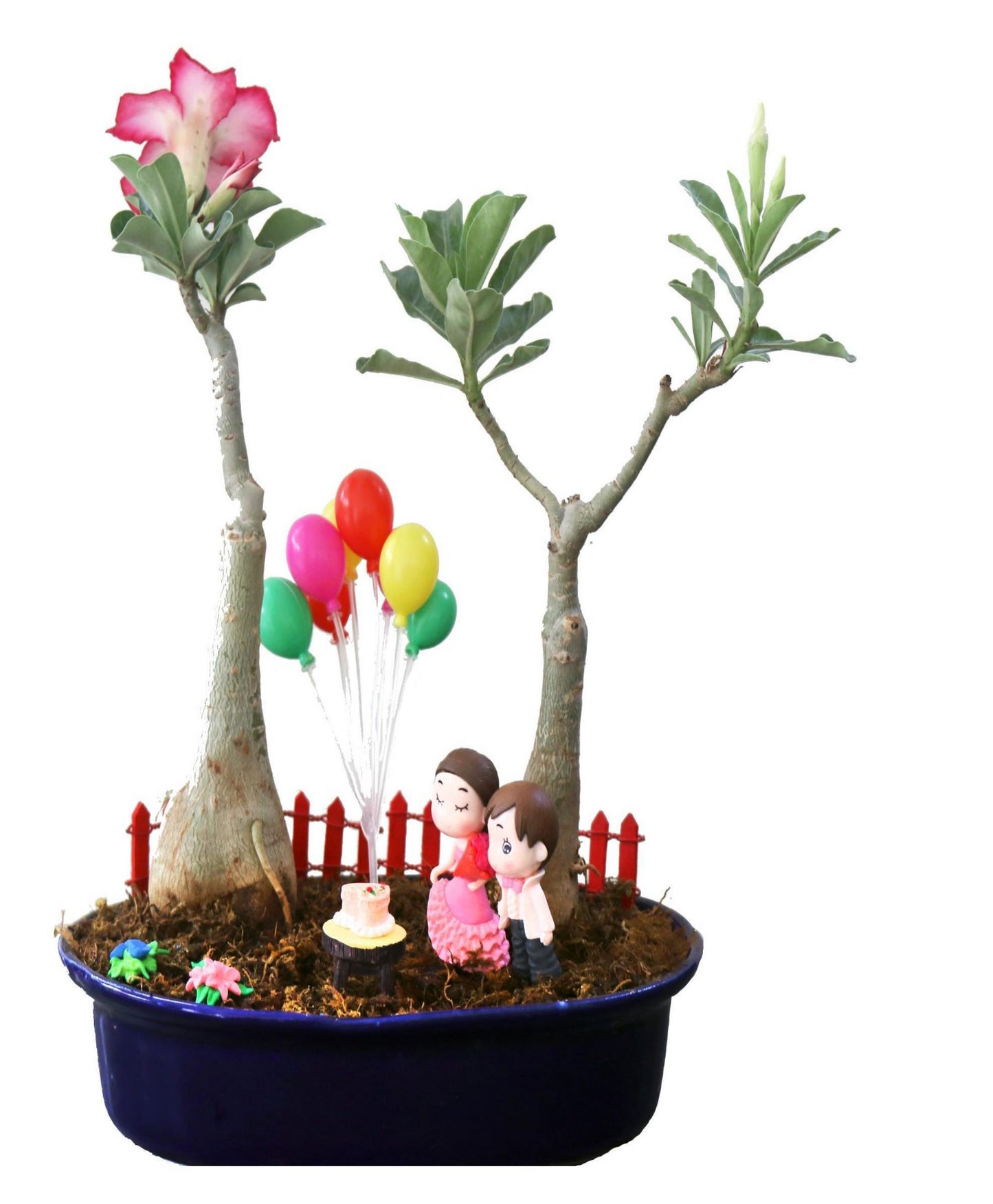 DIY - Celebrations Plant Tray