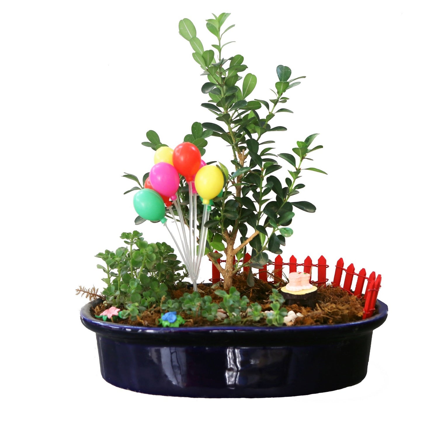 DIY - Celebrations Plant Tray