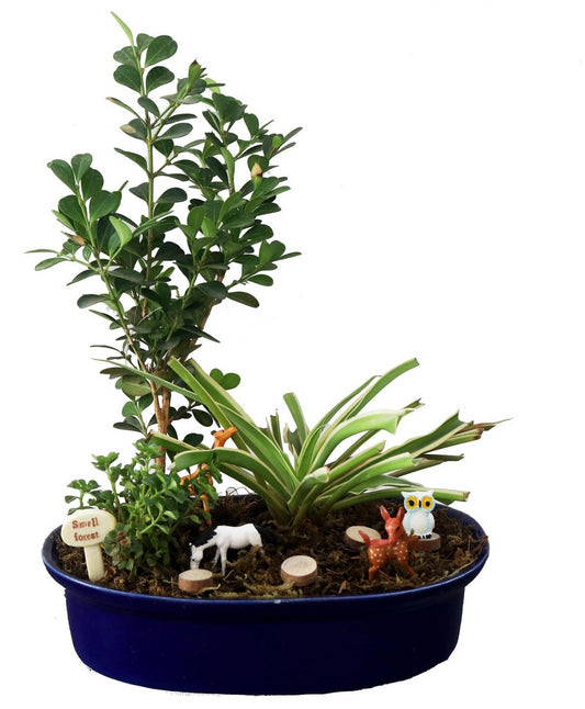 DIY - Forresta Plant Tray