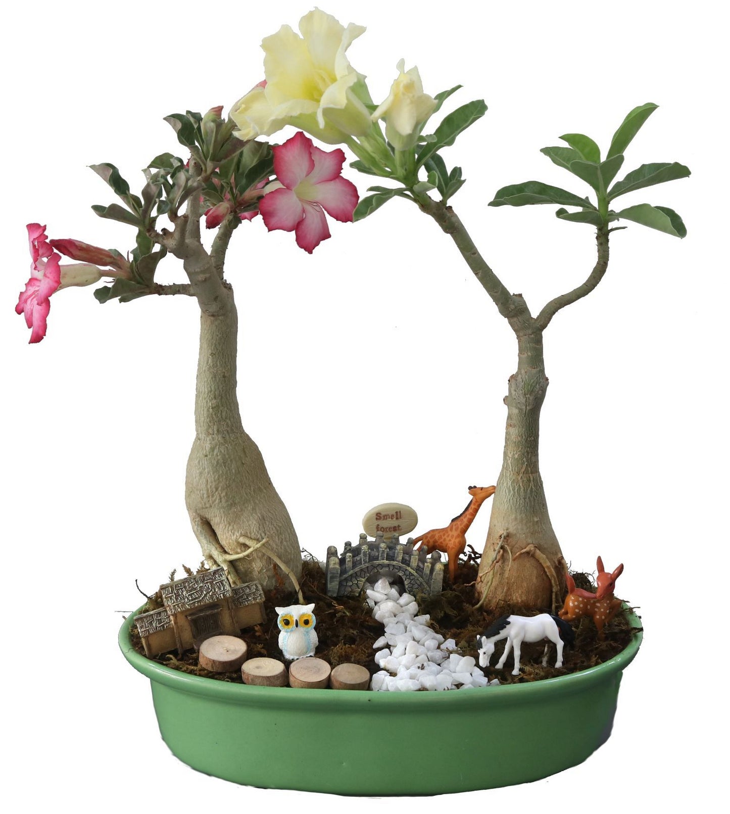 DIY - Forresta Plant Tray