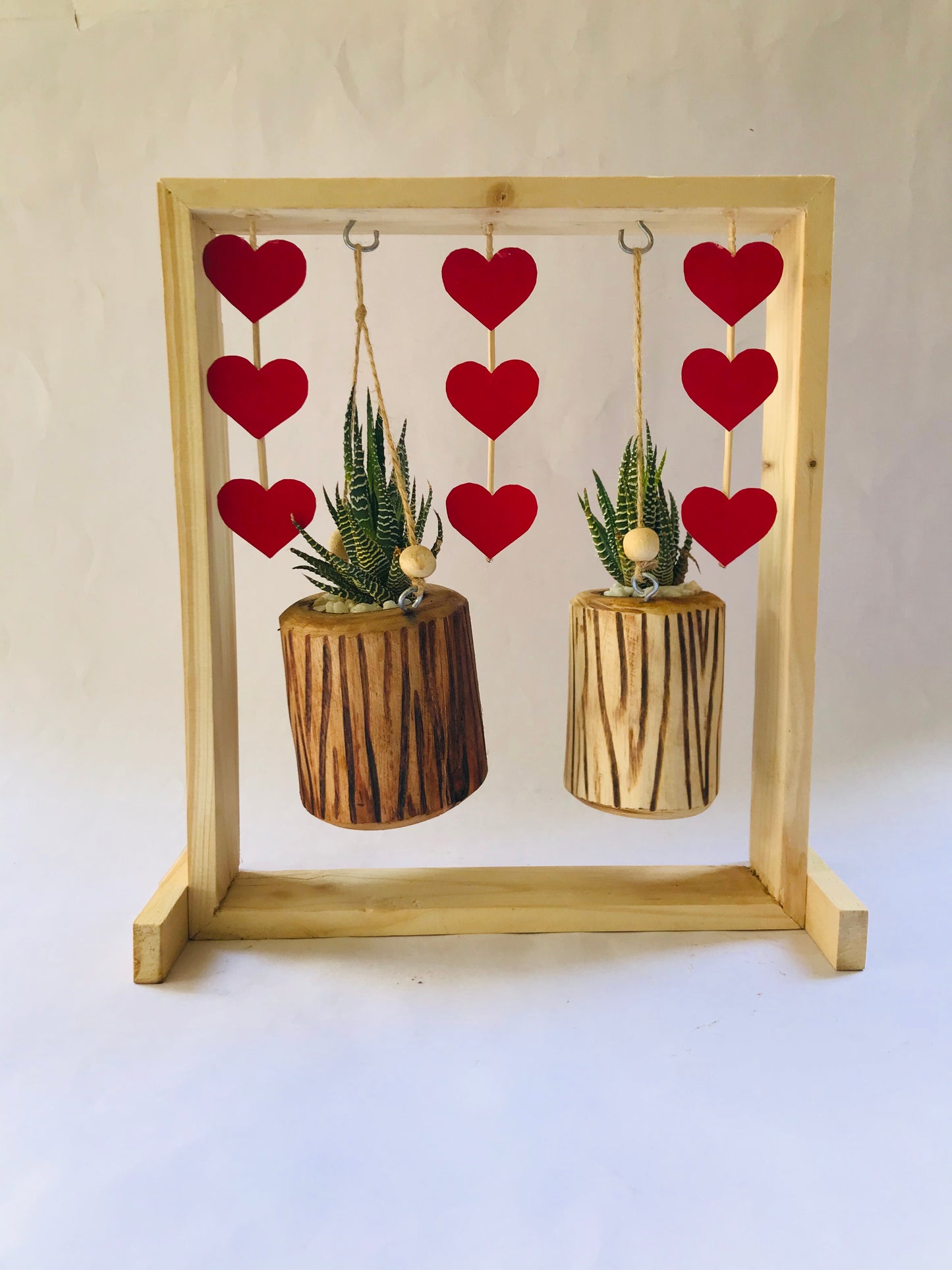 haworthia, wooden, hanging pots, hearts, love, air, succulent