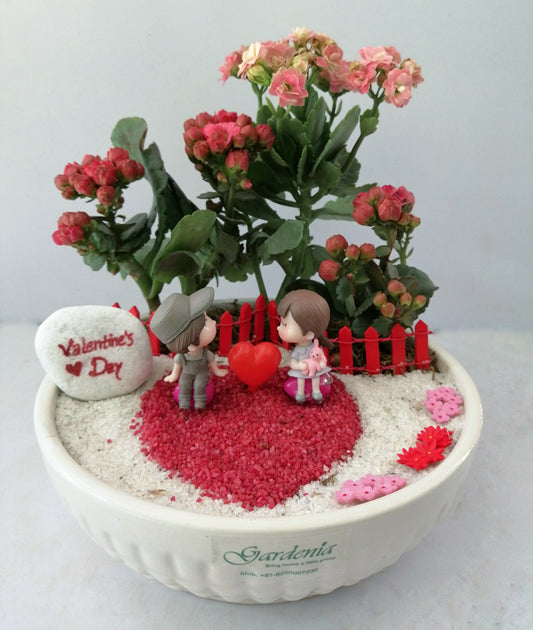 valentines day, love, lover, couple, heart, kalanchoe