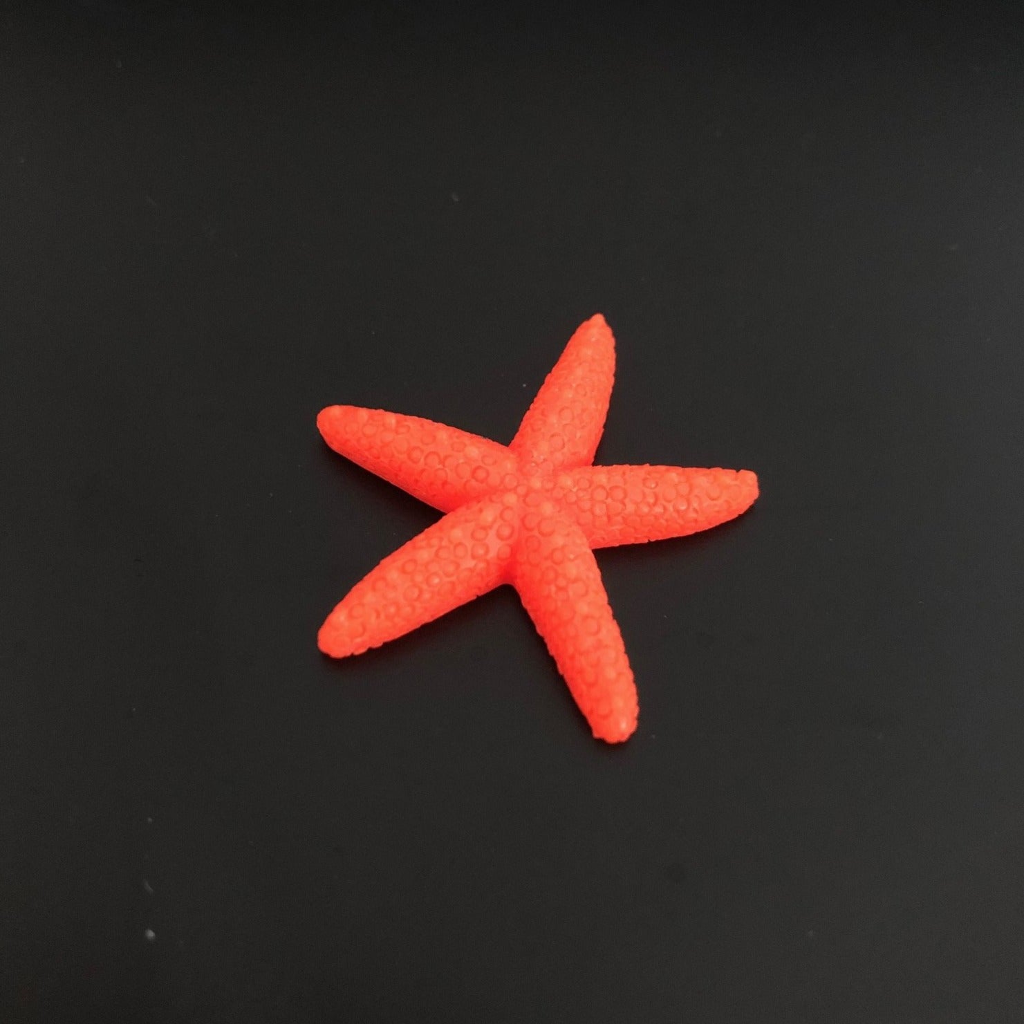 starfish, sea, water, marine, aquatic, miniature