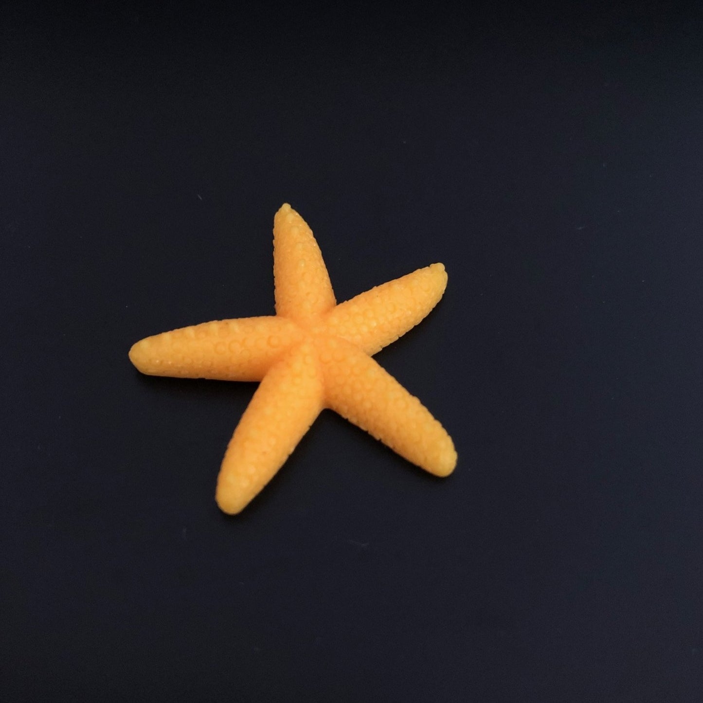 starfish, sea, water, marine, aquatic, miniature