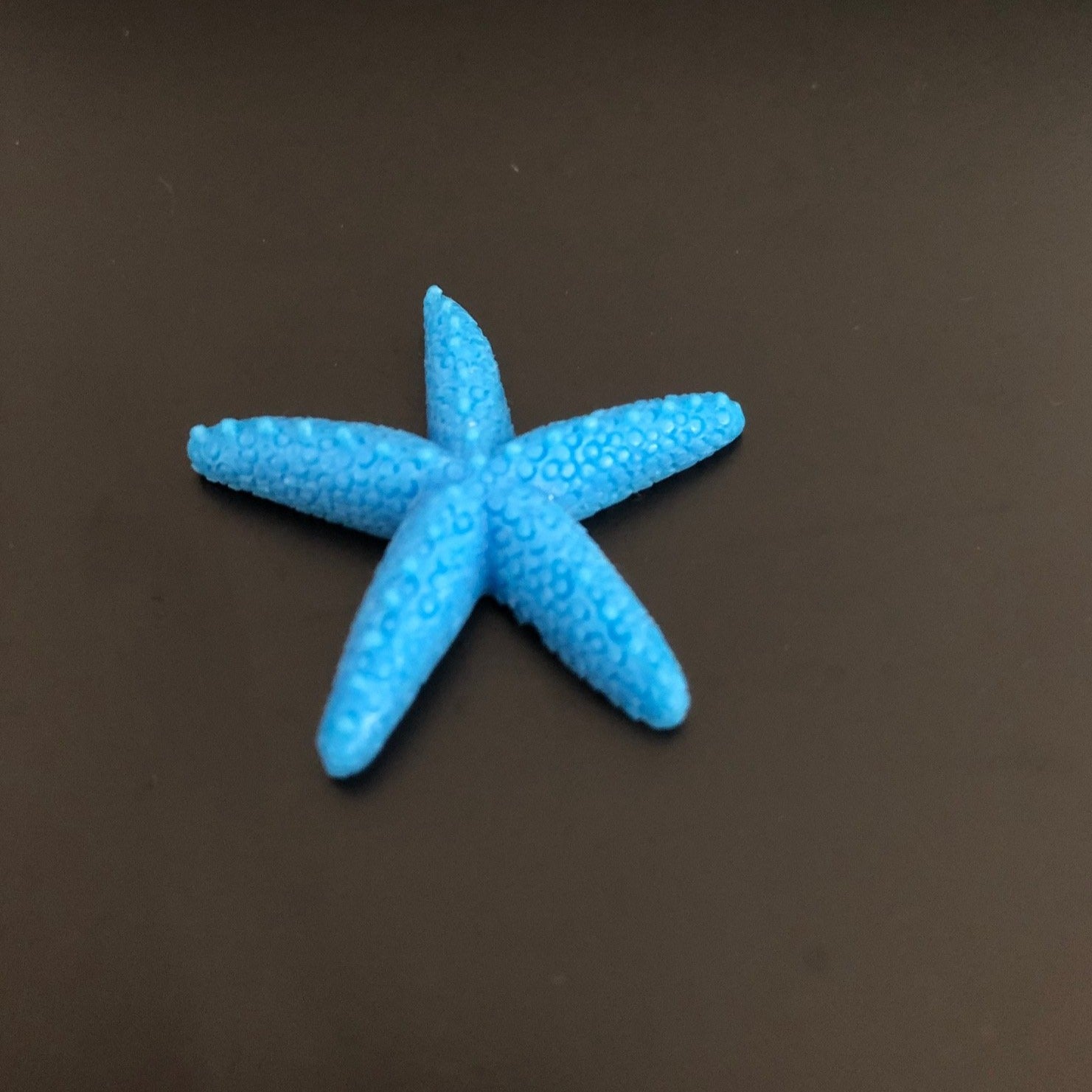 starfish, sea, water, marine, aquatic, miniature
