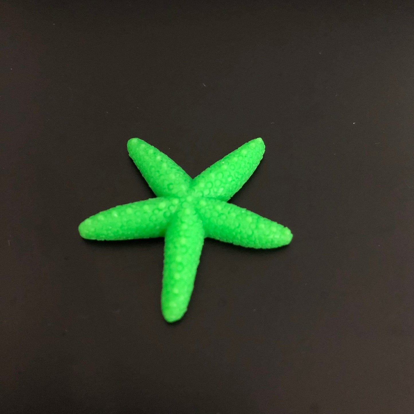 starfish, sea, water, marine, aquatic, miniature