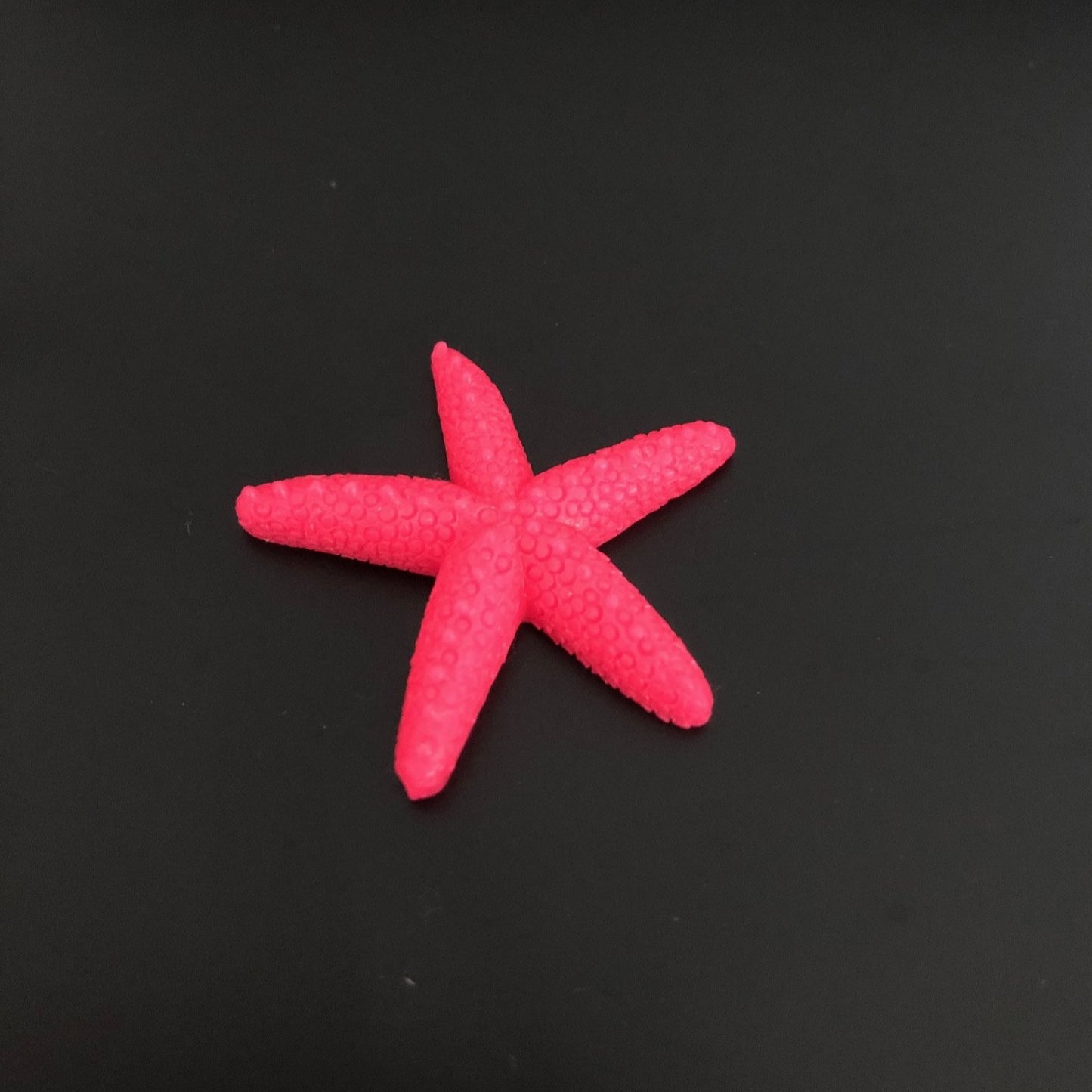 starfish, sea, water, marine, aquatic, miniature