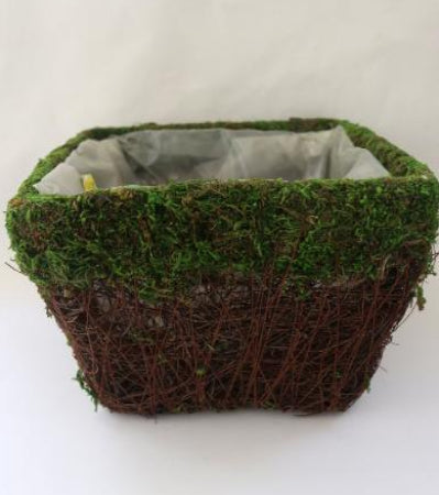 real, moss, planter, medium, large