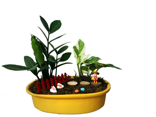 DIY - Pinki Plant Tray