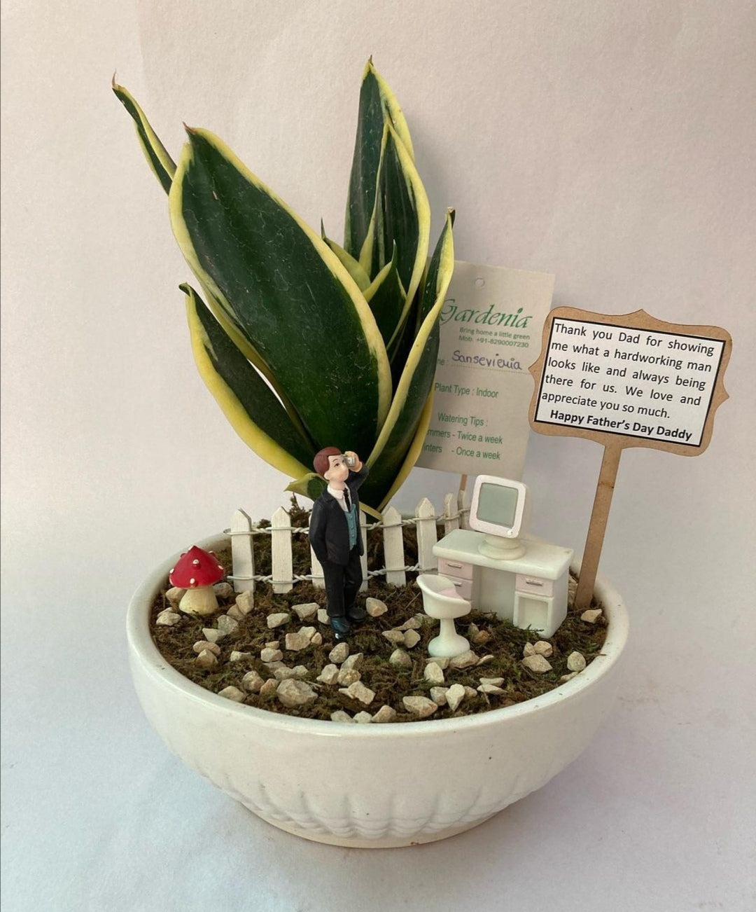 sansevieria, snake plant, father, dad, daddy, papa, office, computer, mobile, work