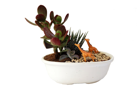 DIY - Giraffes in a Tray