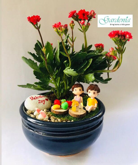 valentine, couple, romantic, picnic,