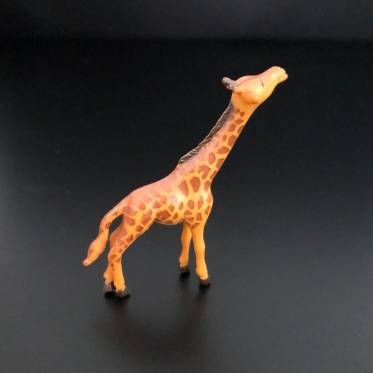 giraffe, long-neck, wildlife
