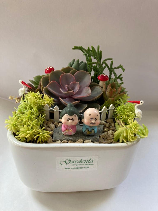 flamingo, succulents, grandparents