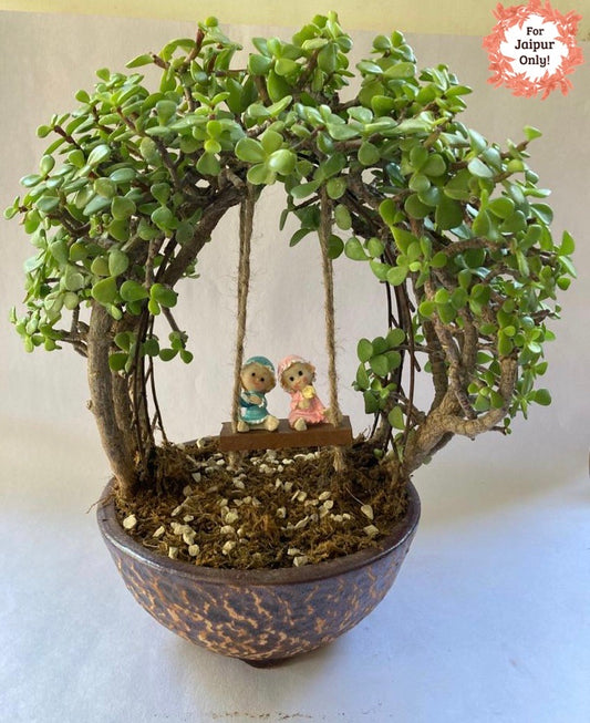 jade, arch, topiary, swing, A land of my dreams