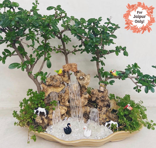 bonsai, malpighai, lake, forest, rock